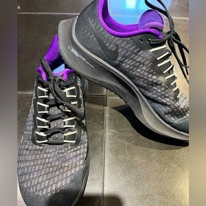 Custom Nike air Pegasus
